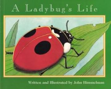 Imagem de A LADYBUGS LIFE