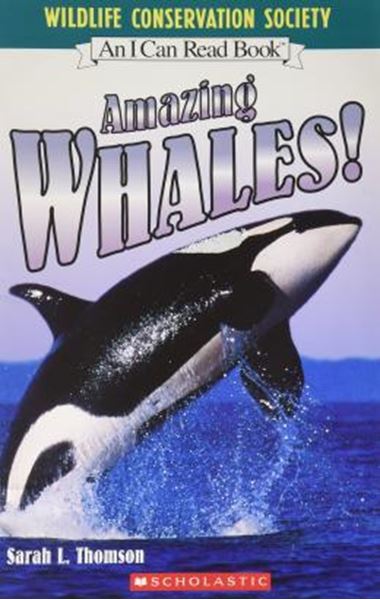 Picture of AMAZING WHALES