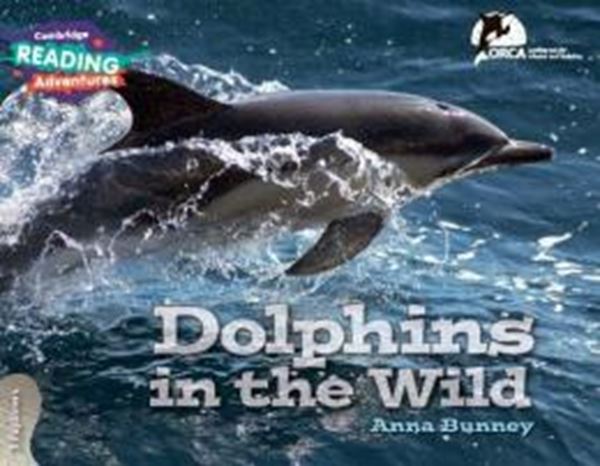 Picture of DOLPHINS IN THE WILD - 3 EXPLORERS