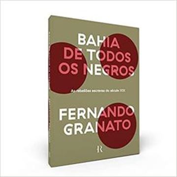 Imagem de BAHIA DE TODOS OS NEGROS: AS REBELIOES ESCRAVAS DO SECULO XIX