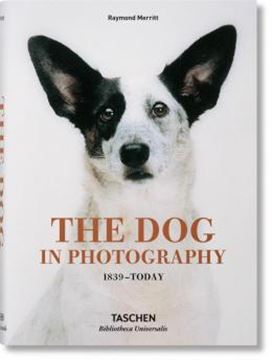 Imagem de THE DOG IN PHOTOGRAPHY 1839 - TODAY
