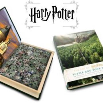 Imagem de A ARTE DE HARRY POTTER