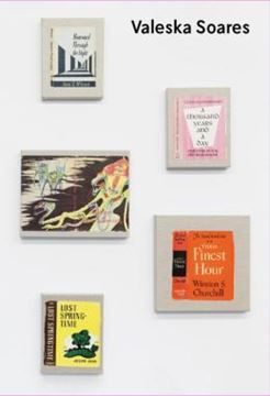 Imagem de VALESKA SOARES