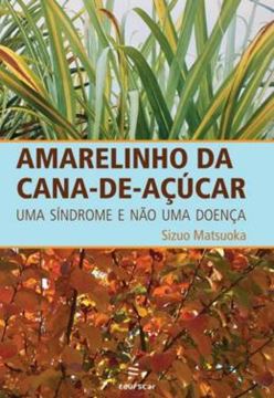 Imagem de AMARELINHO DA CANA-DE-ACUCAR
