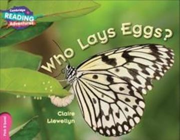Imagem de CAMBRIDGE READING ADVENTURES - WHO LAYS EGGS? PINK B BAND